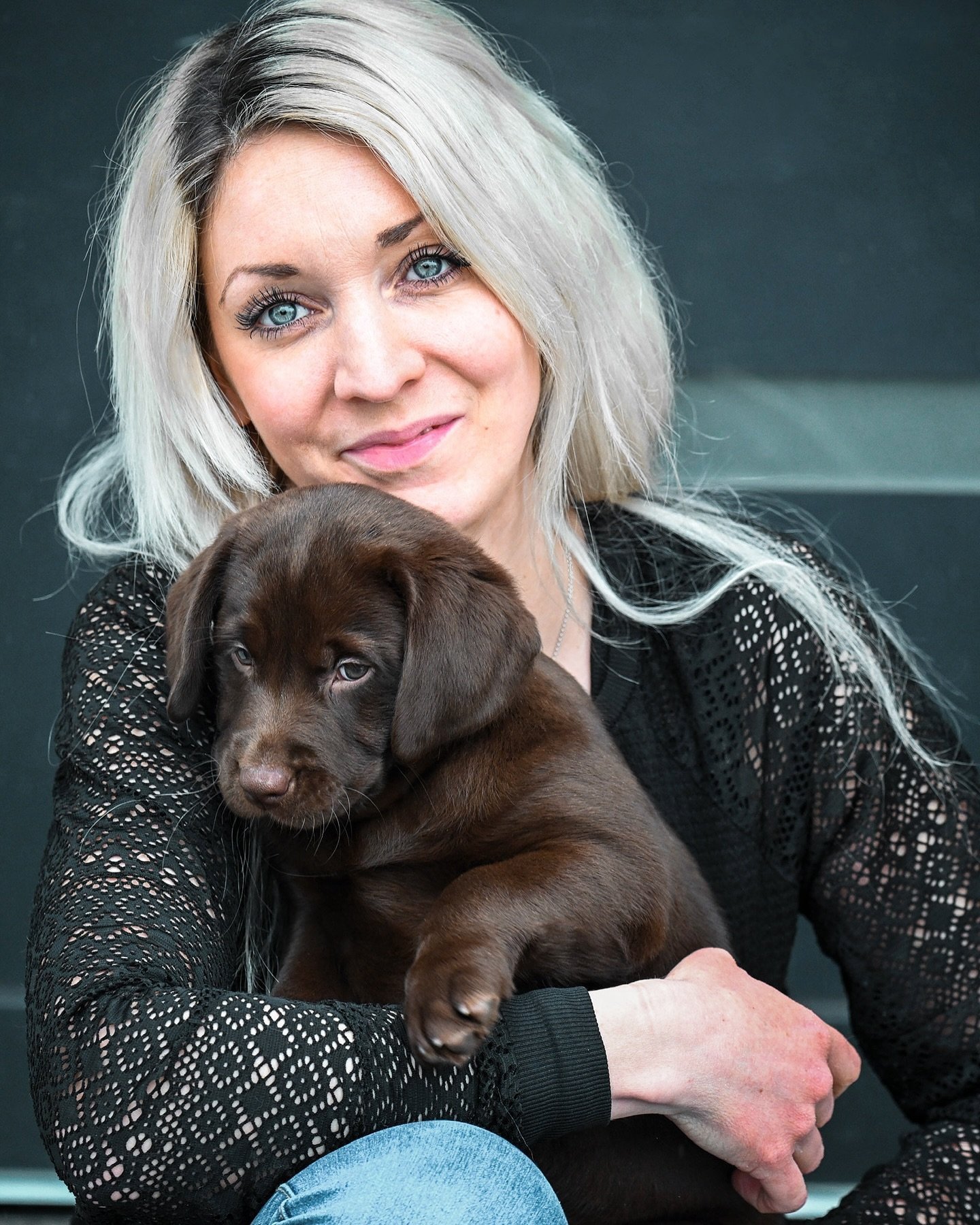 labrador von der zaubergrube 1711360800 3331458577413173994 37528282211.jpg