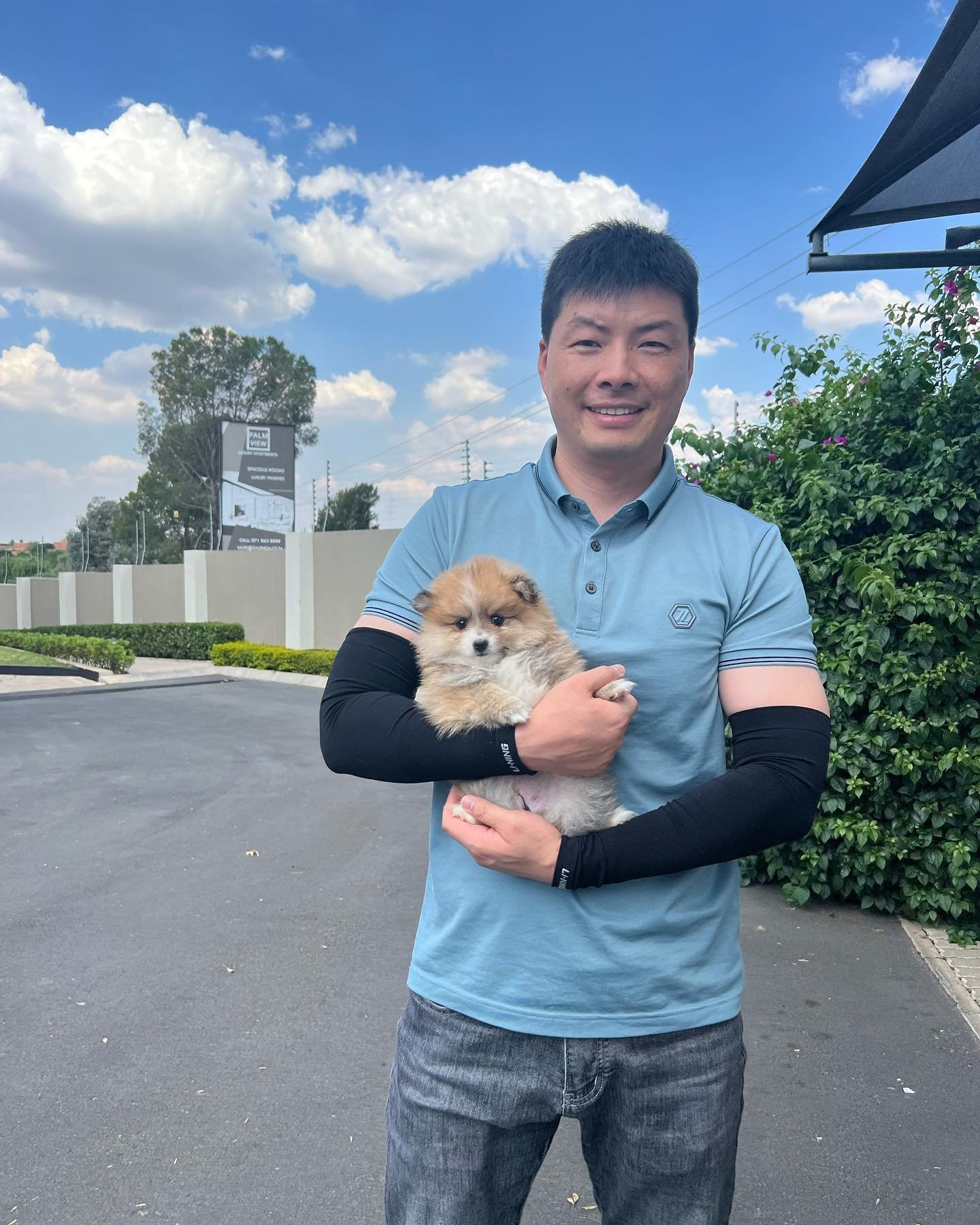 thedog broker 1666962025 2959014393990207791 45267442664.jpg